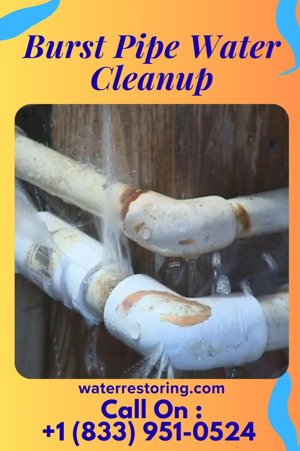 Burst Pipe Water Cleanup in Wauhillau, OK