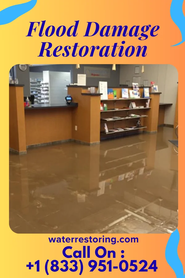 Flood Damage Restoration in Wauhillau, OK
